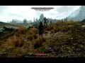 Эффект Гигинта в Skyrim баг первый