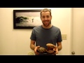 Organic Grass-fed California Burger with Grilled Artichoke