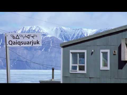 Narwhal and Polar Bear Safari | Arctic Kingdom