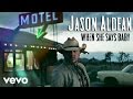 Jason Aldean - When She Says Baby Audio Only
