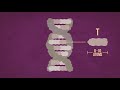 How to sequence the human genome - Mark J. Kiel