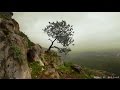 3 Hours of Beautiful Violin Guitar Flute Harp Cello Piano Music - Instrumental Music