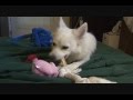 Video - Heidi plays with her toys