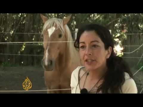 NATURAL HORSEMANSHIP