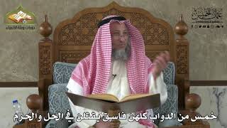604 - خمس من الدواب كلهن فاسق يقتلن في الحل و الحرم - عثمان الخميس