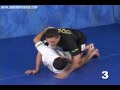 Ribeiro+bjj