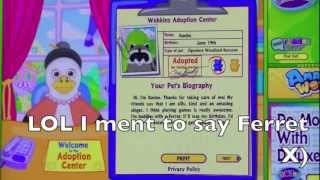 webkinz signature racoon