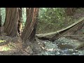 Psychic Abilities - Powerful Subliminal Training (in HD)