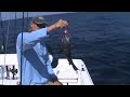 Nearshore Fishing