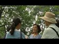 Looking for Love - China