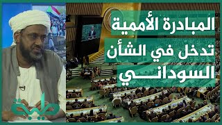د. حسن سلمان: المبادرة الأممية هي تدخل واضح في الشأن الداخلي السوداني