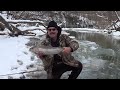 ICE WATER STEELHEAD