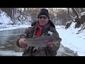 ICE WATER STEELHEAD
