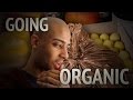 Organic Clothing - Everything Must GO!