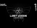Lost Woods Dubstep Remix - Ephixa (Download at www.ephixa.com Zelda Step)