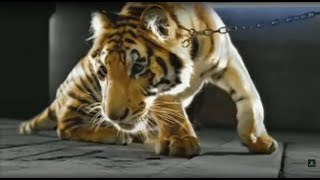 Ying Yang Twins - Dangerous