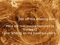 The Planet Venus (AggManUK)
