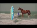 Anna Maria Island Get Into Horse Surfing