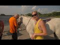 Anna Maria Island Get Into Horse Surfing