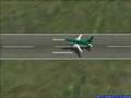 miniature