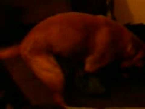 amor comprado mariana y willy. amor comprado mariana y willy. amor comprado mariana y willy.