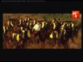 Bagundammo Bagundi Song From Takkari Donga
