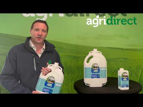 Nutrigain Lamb Thrive