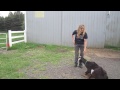 Blackjack the Trick Goat (how to train your goat to do tricks)
