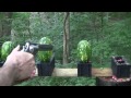 500 Magnum vs Watermelons