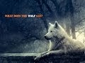 What Does the wolf say?