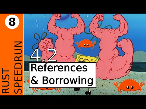 4.2 References & Borowing | Rust Book Speedrun 8