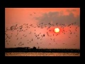 xalili mawlan-Ay Yaran Yaran - ئه ی یاران یاران