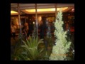 lungdei kuki HAPPY BIRTHDAY.wmv