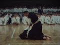Demonstration Shorinji Kempo japon
