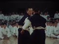 Demonstration Shorinji Kempo japon