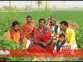 saraiki jhankar