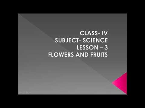 Class 4 Science Lesson- 3 (Flowers and fruits) Part – 2