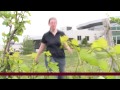 Growing Canadian Wine Industry Wins Awards Worldwide