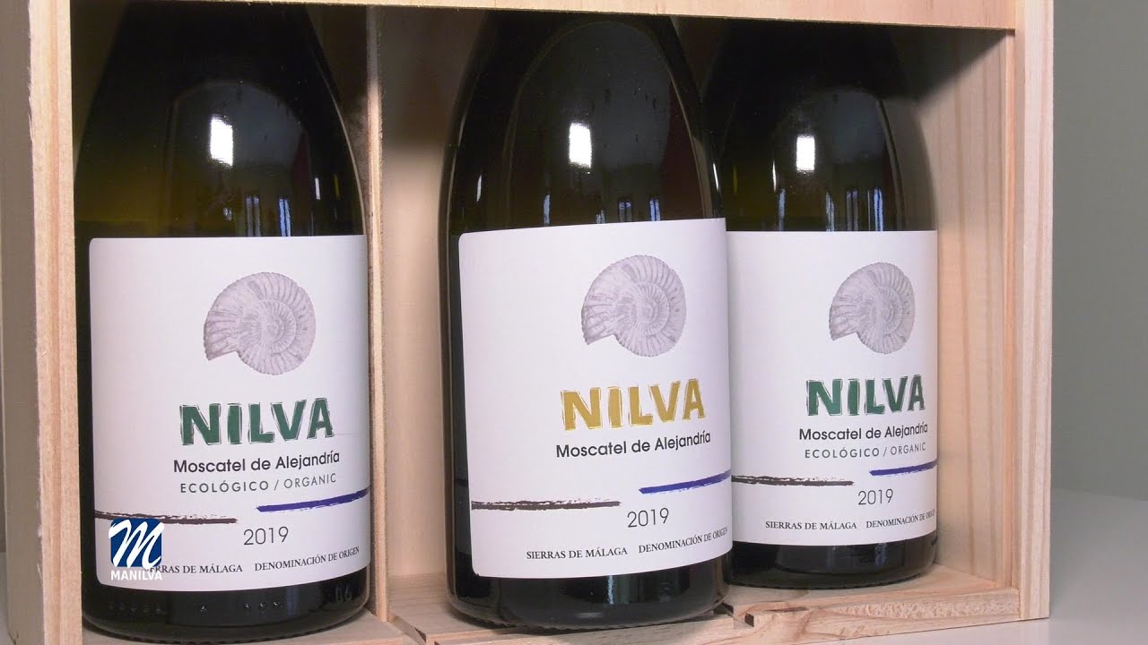 Nilva 2020 mejor vino blanco de la provincia de Málaga