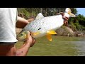 Pescaria de piau de 5 kg no rio paracatu