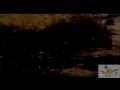 SWARMS OF MILLIONS OF LOCUST PLAGUE CAIRO, EGYPT AHEAD OF PASSOVER (MAR 4, 2013)