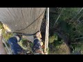 Alfred Nicholas Gardens Tree Removal