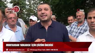 Muhtarlardan ‘kokarca' için çözüm önerisi