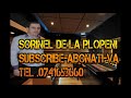 SORINEL DE LA PLOPENI - COLAJ CAMPIONU LA PETRECERE 2014 SUPER MUZICA MANELE ETNO