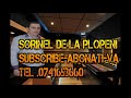 SORINEL DE LA PLOPENI - COLAJ CAMPIONU LA PETRECERE 2014 SUPER MUZICA MANELE ETNO