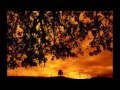 Τανείπωτα- Δημήτρης Ζερβουδάκης στίχοι