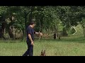 SHKOLLA E QENVE VIJON TRADITA E RRITJES DHE TRAINIMIT TE KAFSHEVE LAJM