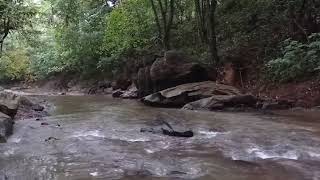 SubhanAllah, Alhamdulillah, Allahu Akbar Dhikr in nature beside a flowing stream - Amazing