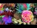 Darkstar - Amplified Ease (taken from new album 'News From Nowhere')