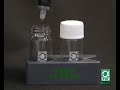 Seven steps to a successful planted tank by JBL